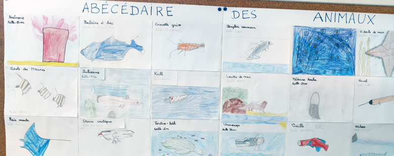 Classe de CE2 de l'école élémentaire Anatole France à Blain