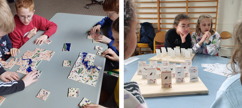 À travers le jeu, les élèves découvrent l’évolution de l’Erdre au cours de l’histoire ou s’exercent à reconnaître la faune qui vit près de la rivière.