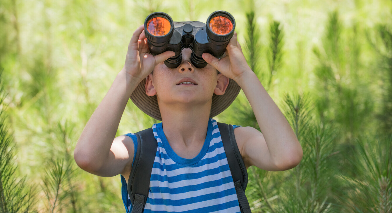 Campagne colos apprenantes 2025