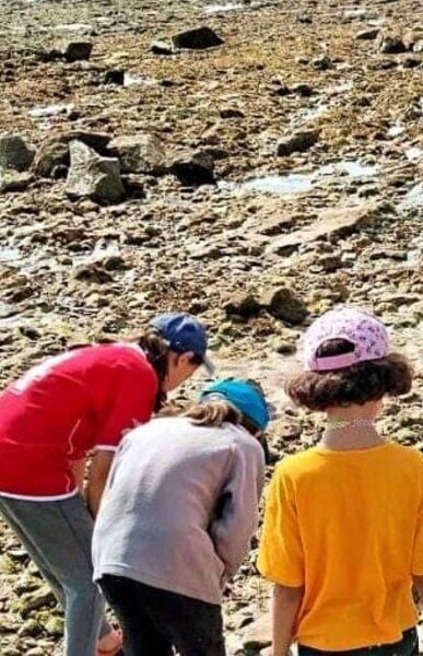 Vendée colos apprenantes