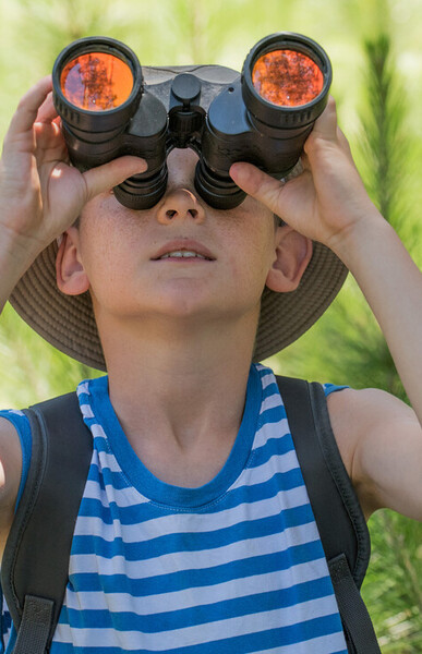 Campagne colos apprenantes 2025