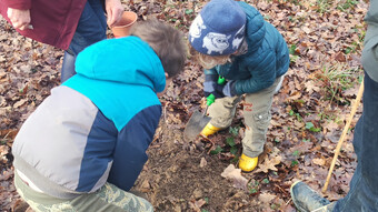 Petits arbres deviendront grands !